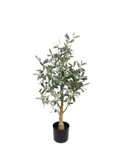Tekokasvi oliivipuu 75cm