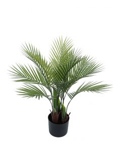 Tekokasvi palmu 70cm