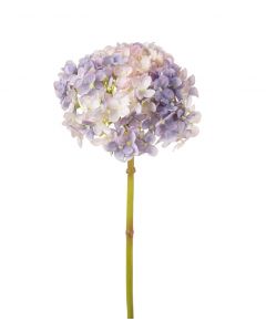 Hortensia 45cm lila