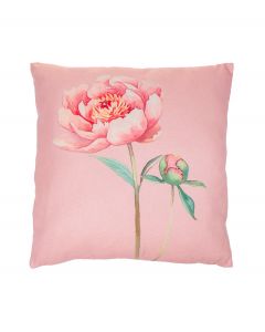 Tyyny vaaleanpunainen pioni