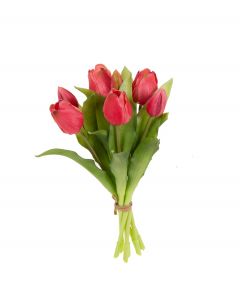 Tulppaanikimppu punainen