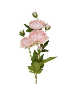 Pioni vaaleanpunainen 76cm