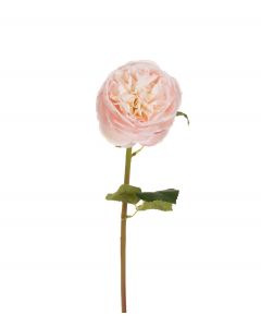 Ruusu vaaleanpunainen 60cm