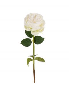 Ruusu valkoinen 60cm