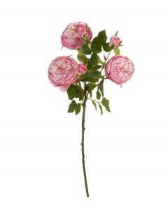 Ruusu vaaleanpunainen 66cm